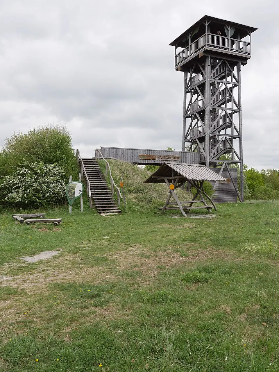 Hainich-Blick