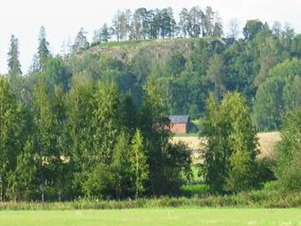 Hakoisten linnavuori