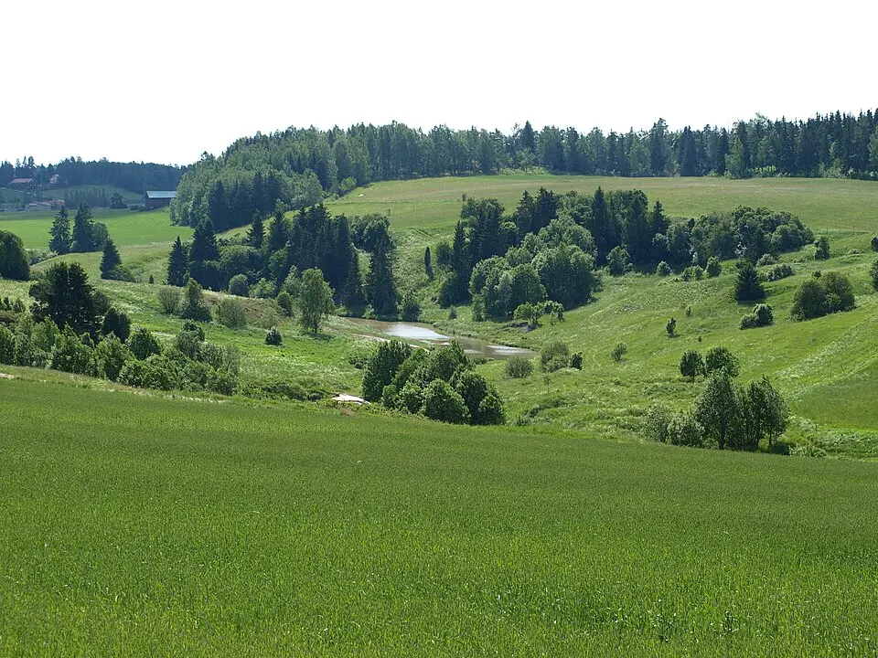 Halikko
