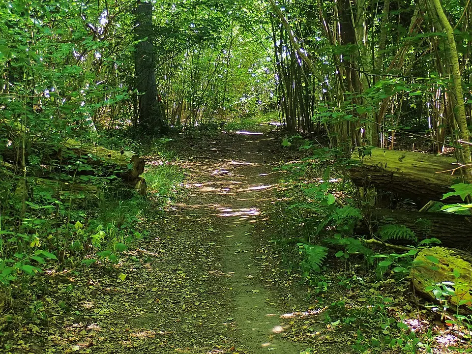 Halla naturreservat