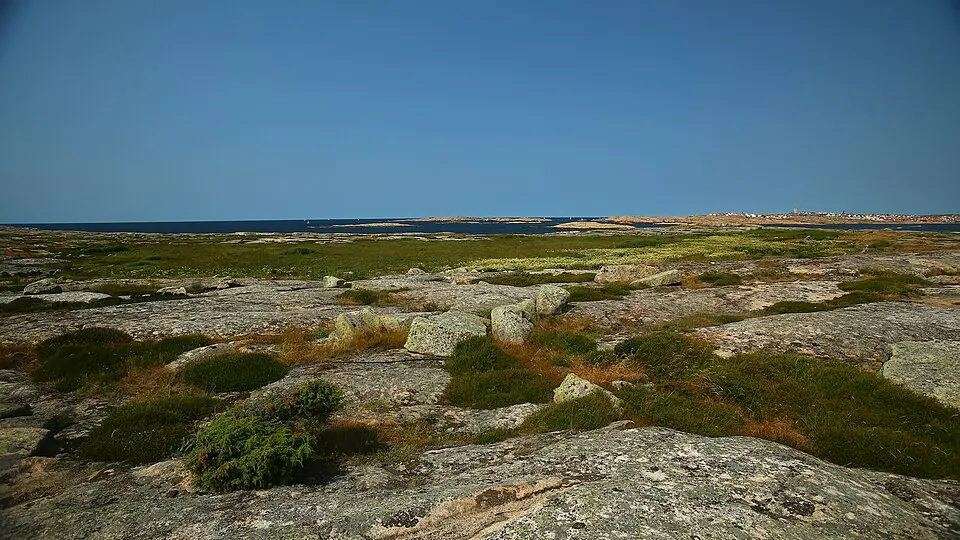 Hållöarkipelagens naturreservat
