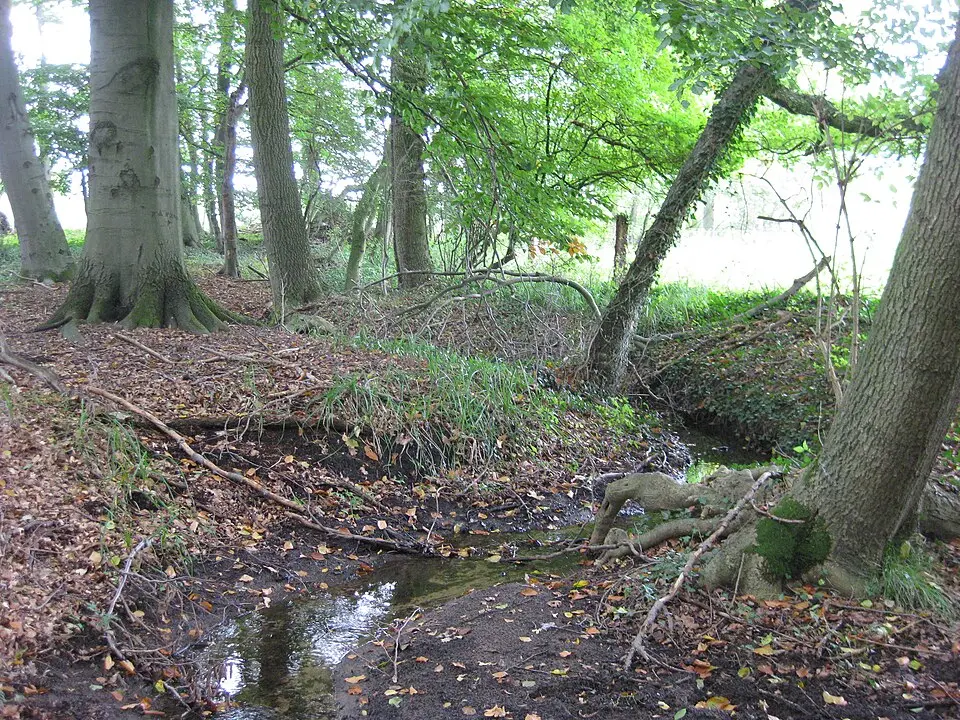 Kleinebach