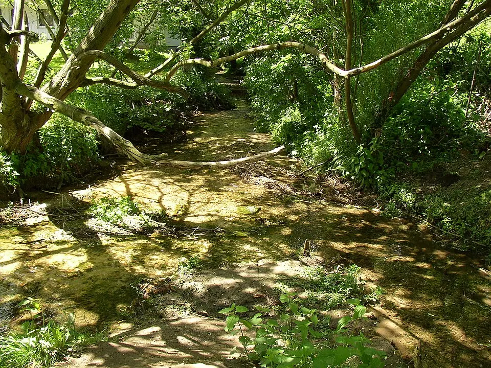 Rhedaer Bach