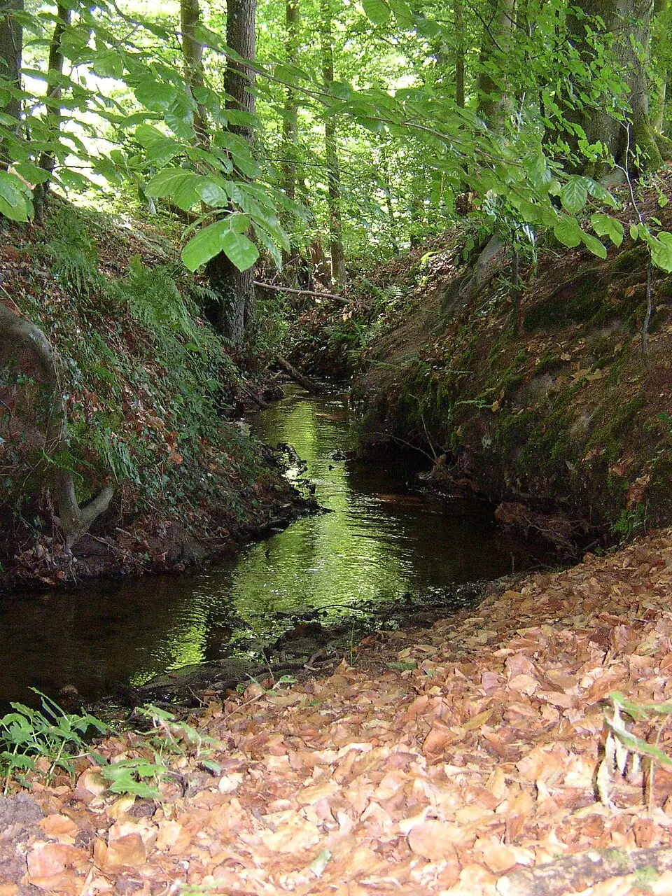 Loddenbach