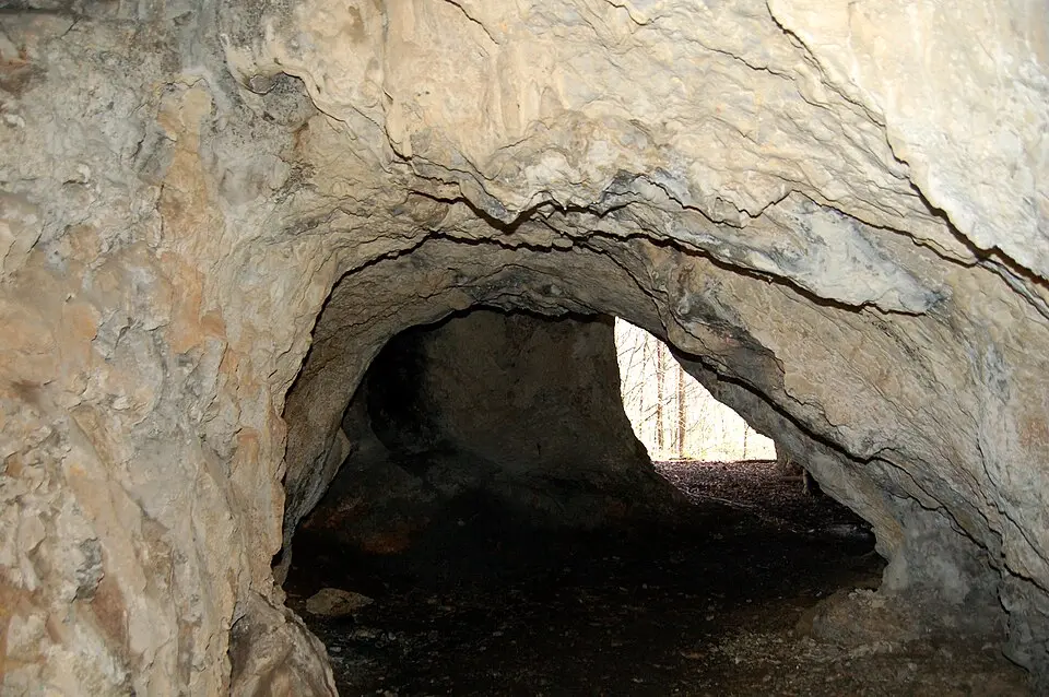 Hohlur