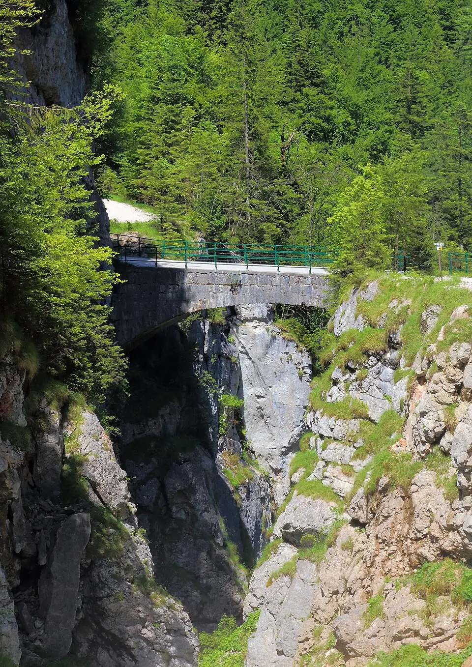 Brücke über dem Waldbach