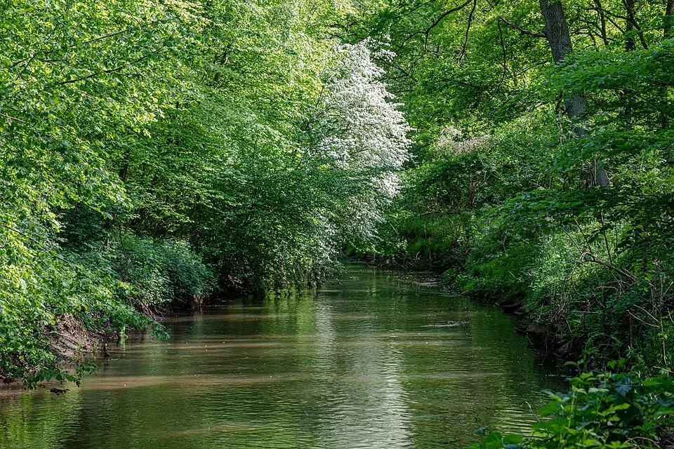 Halterner Mühlenbach
