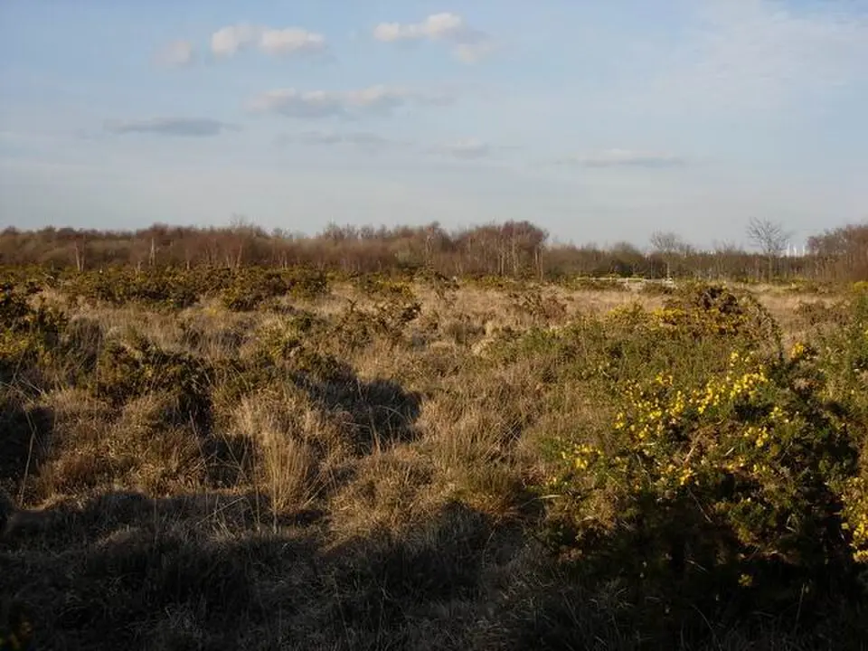 Hamble Common Camp