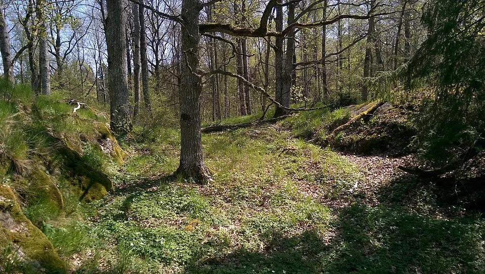 Hammarberget
