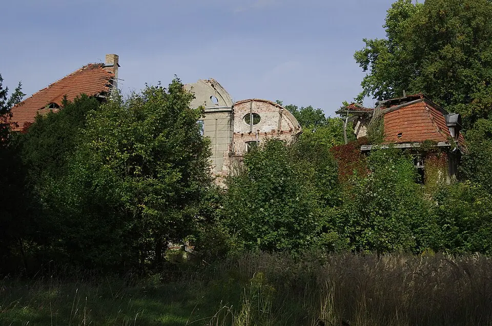 Pałac (dec.: dwór) w Rynowie