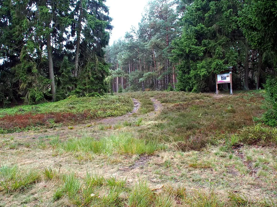 tombe du cavalier de Hankenbostel