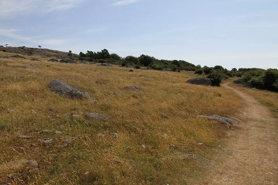 Hanö naturreservat