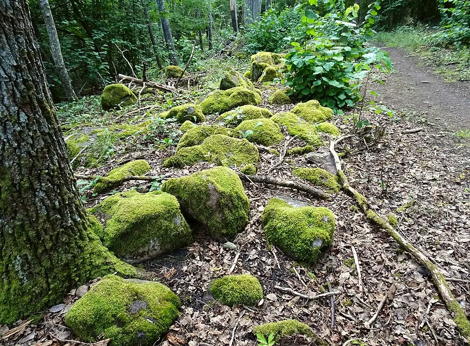 Hansta naturreservat