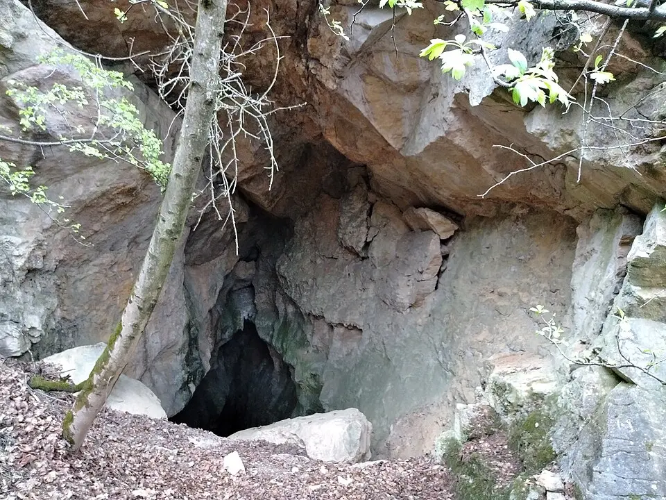 Harcsaszájú-barlang
