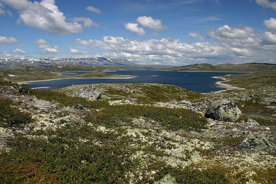 parc national de Hardangervidda