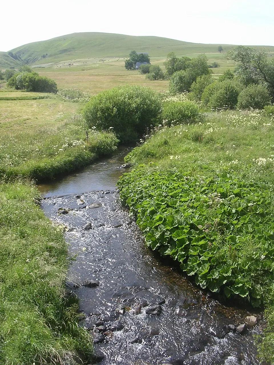 Couze d'Ardes