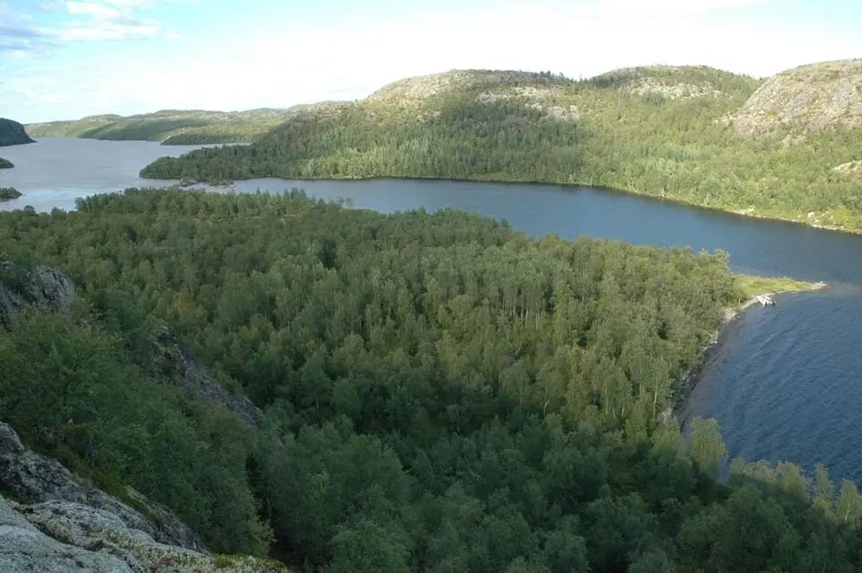 Paatsjoki