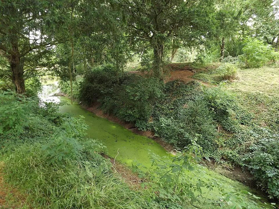 The Mount moated site