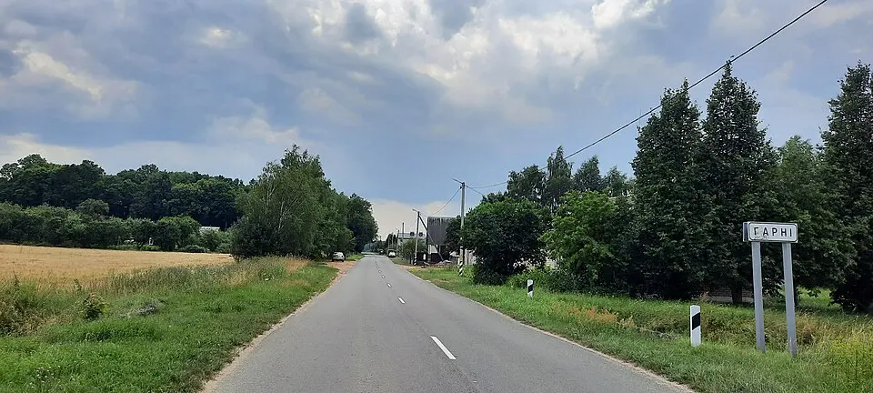 Гарні