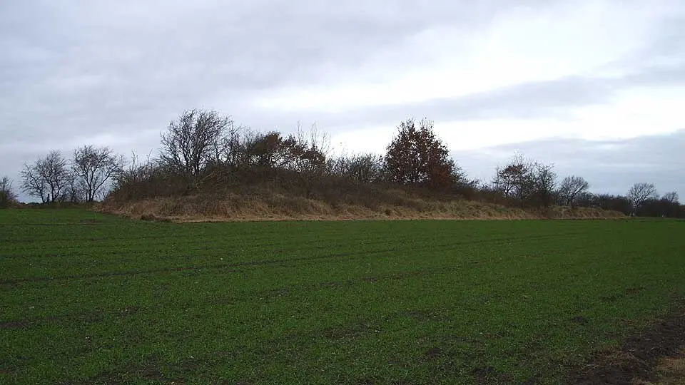 Langbetten von Harrislee