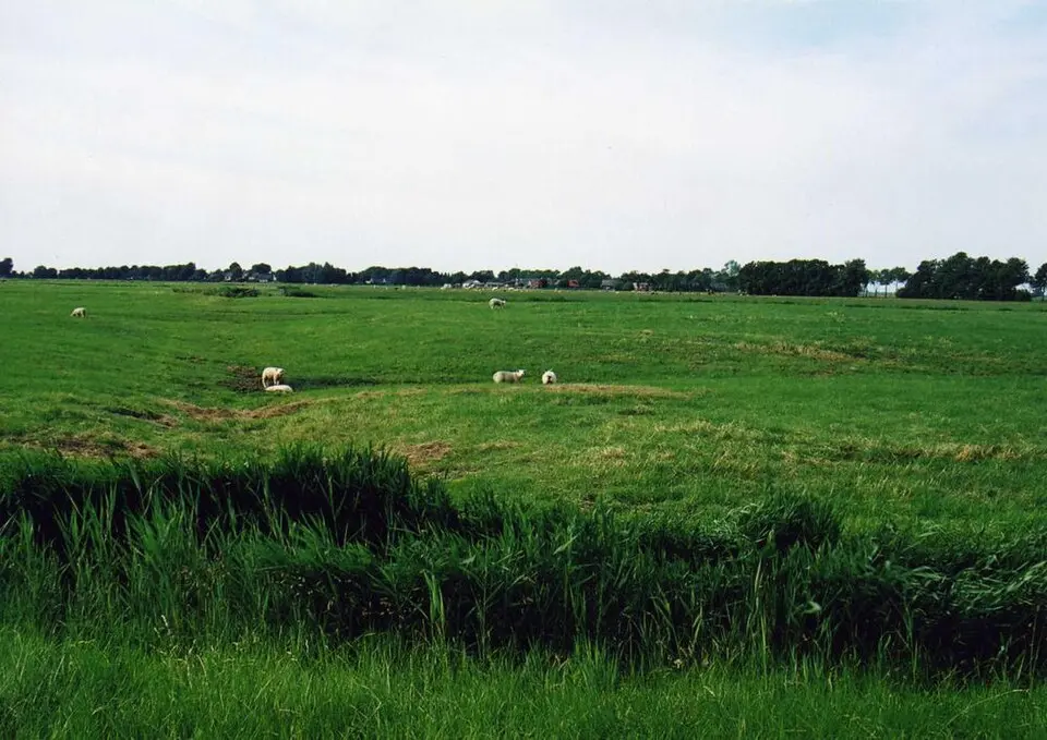 Terrein met resten van een borg (Harssens)