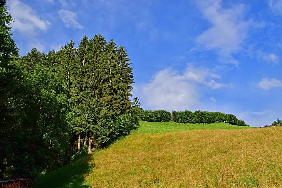 Umgebung St. Maria in Hart im Zillertal