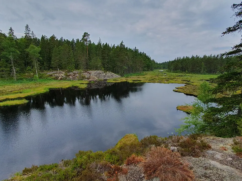 Hattens naturreservat
