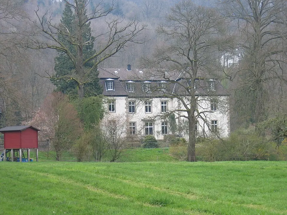 Bild: A.Savin · CC BY-SA 3.0 Burg Alsbach