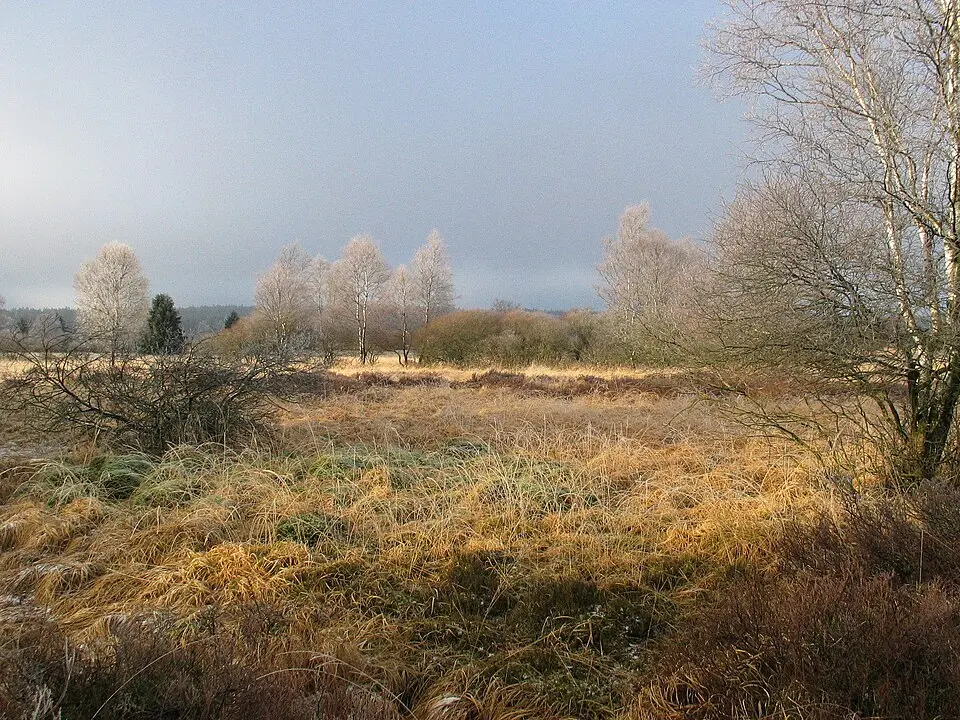 parc naturel des Hautes-Fagnes–Eifel