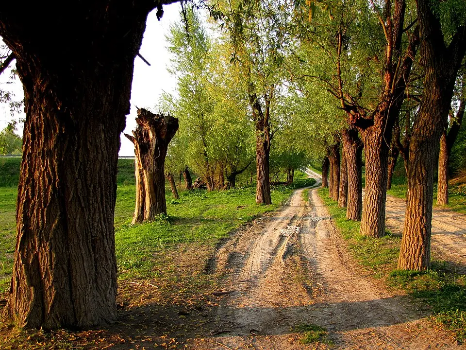 Kazimierski Park Krajobrazowy