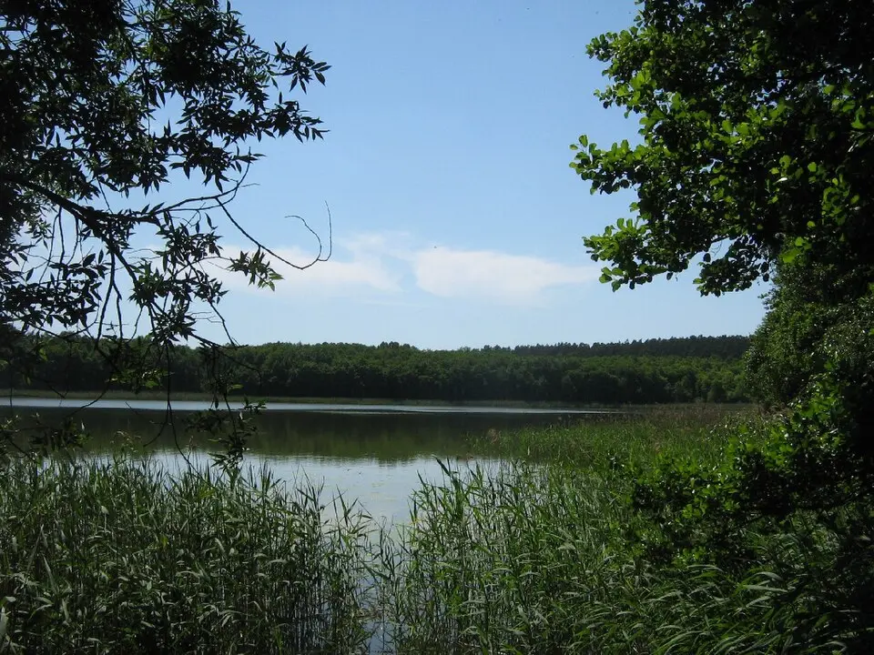 Röthsee