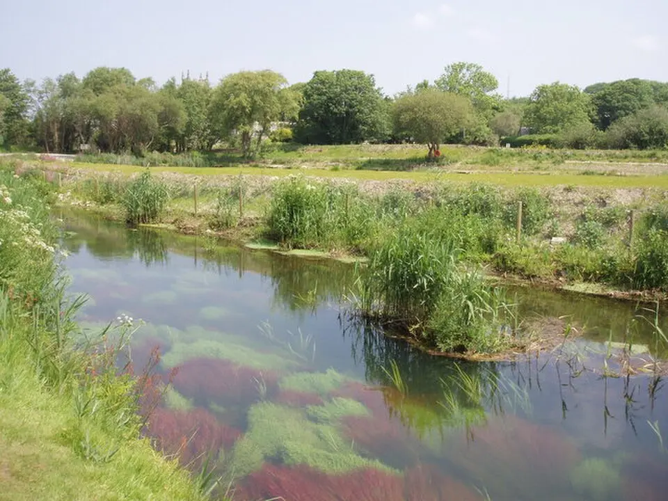 River Hayle