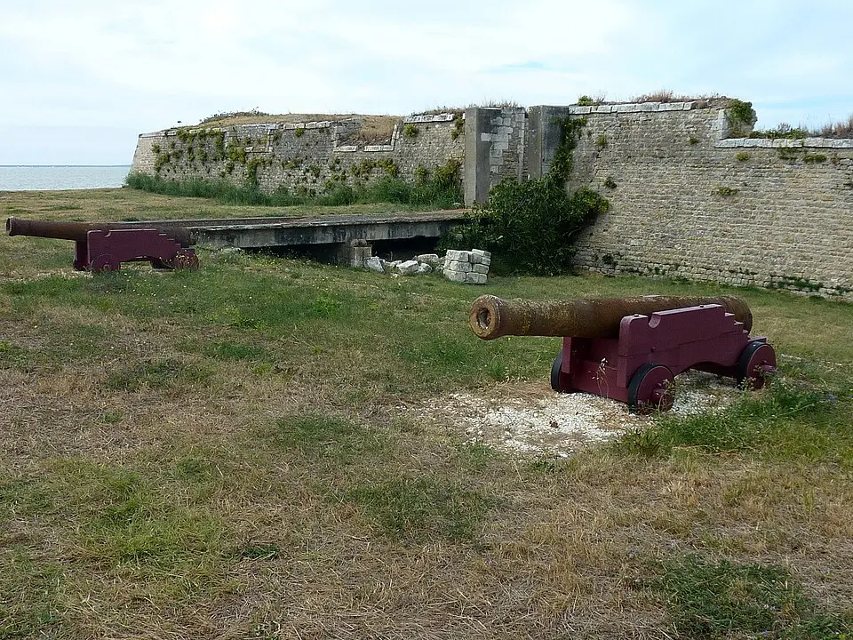 fort de l'Aiguille
