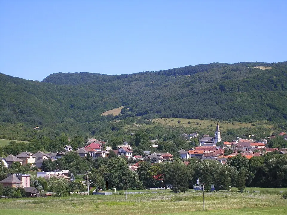 Obrázek: Szeder László · CC BY-SA 4.0 Lipovník