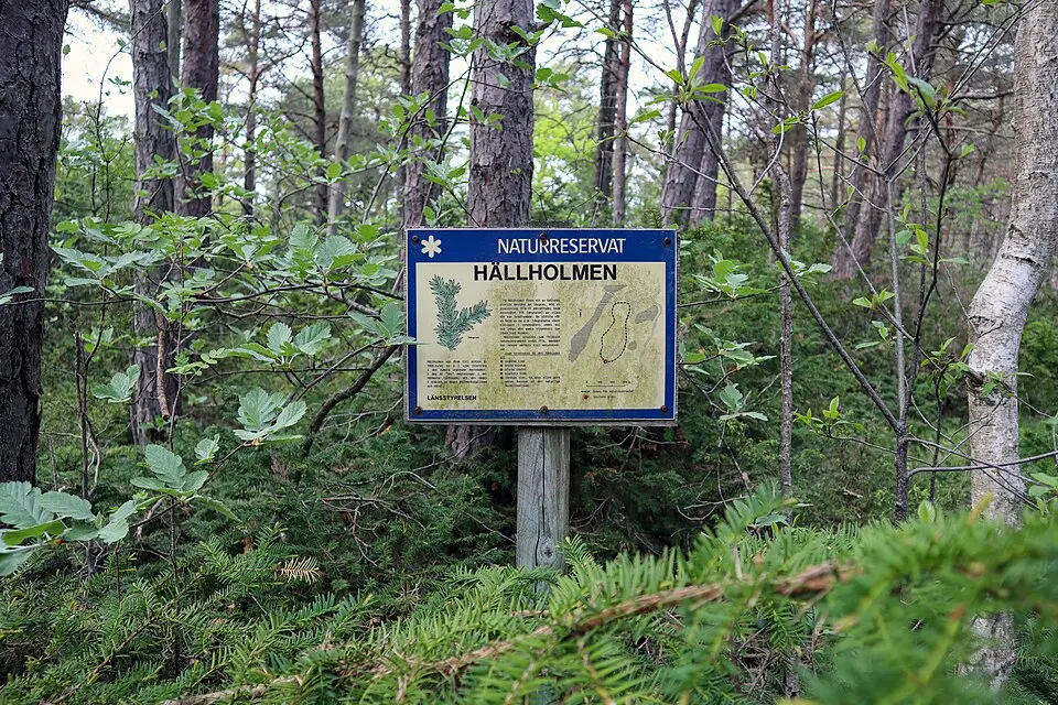 Hällholmen
