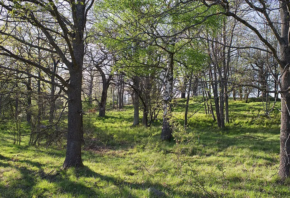 Händelö