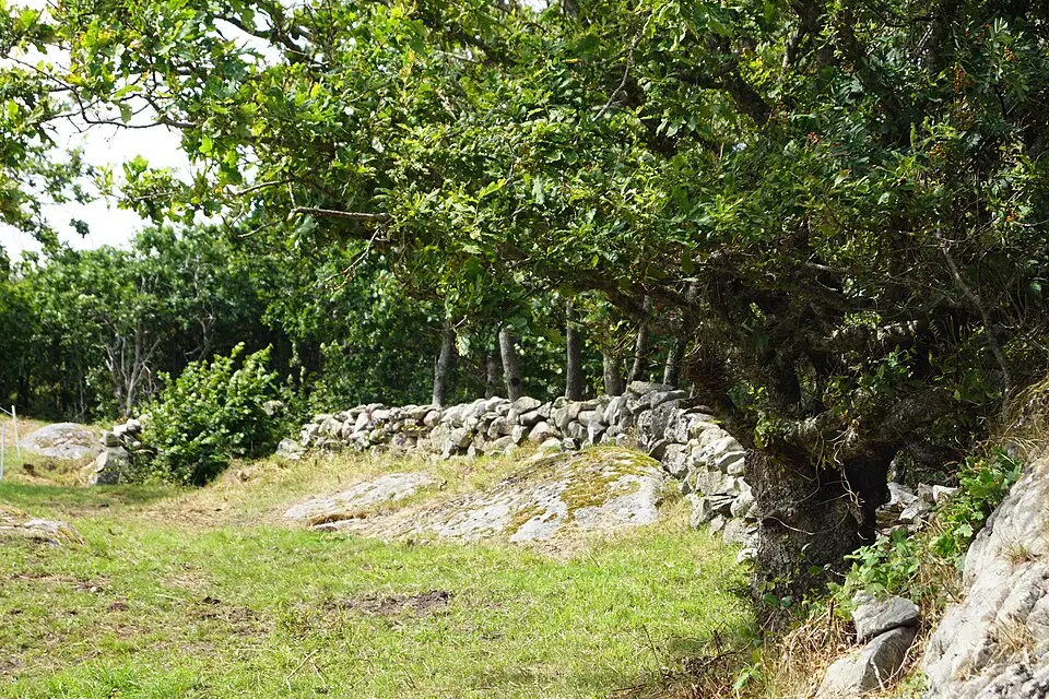 Härmanö