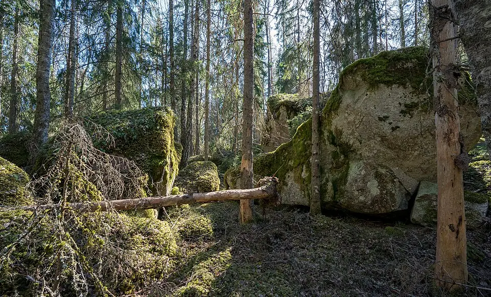 Härsta naturreservat
