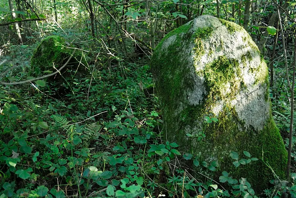Häslerhau