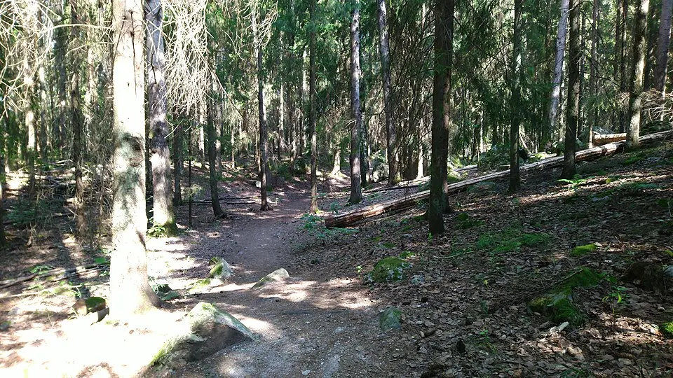 Hässlebyskogen