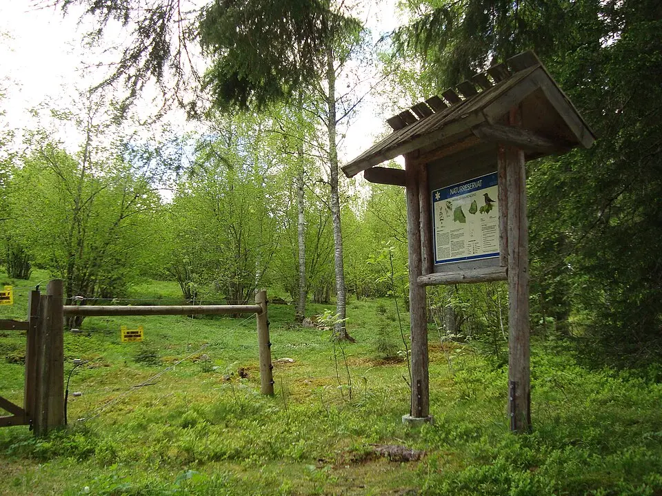Hässlen