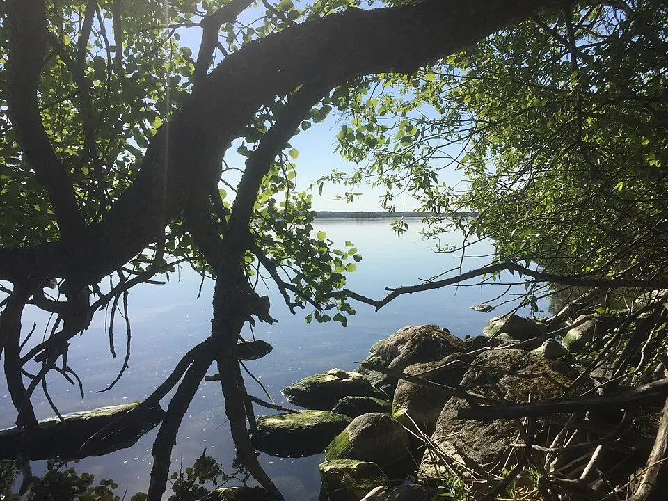 Kalmarnäslandet