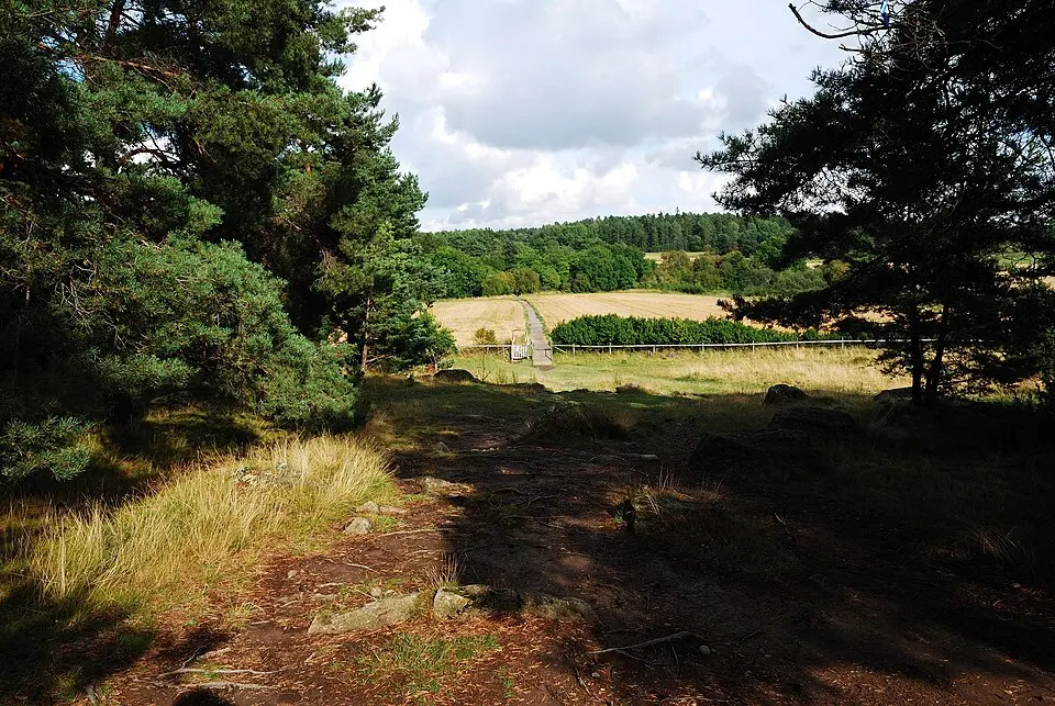 Hågadalen-Nåstens naturreservat