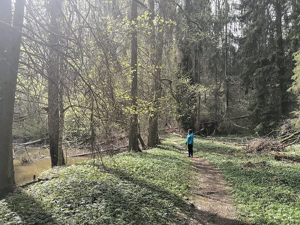Hårsbäcksdalens naturreservat