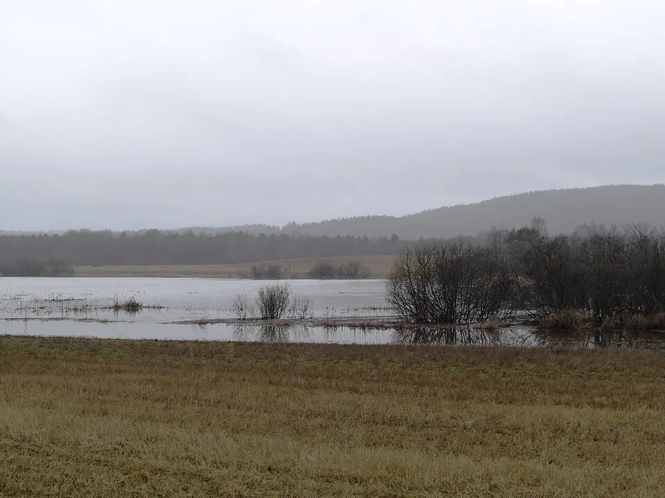 Hæra naturreservat