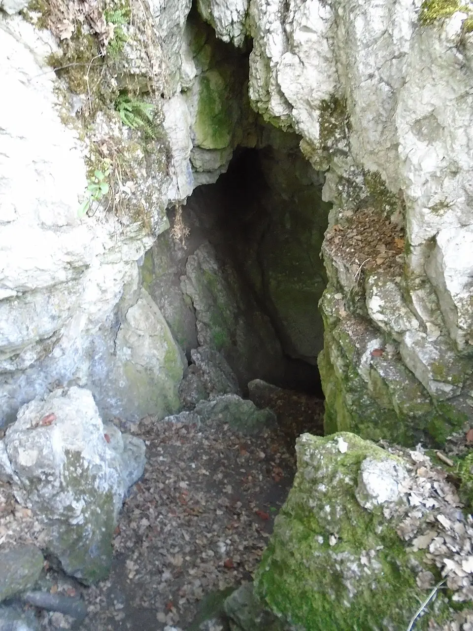 Hét-lyuk