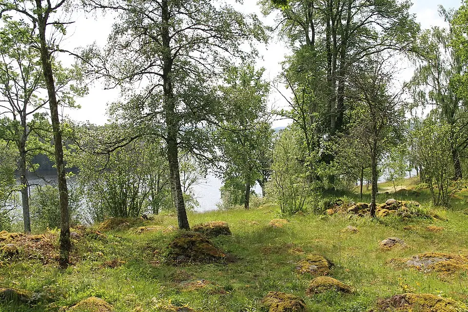 Högakulls naturreservat