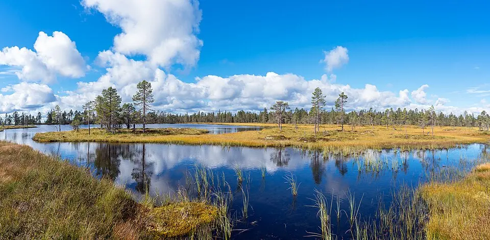 Norra Mora vildmark