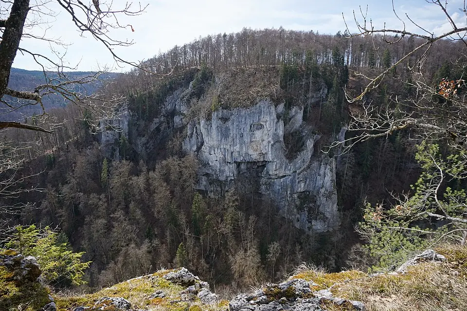 Burg Neidingen