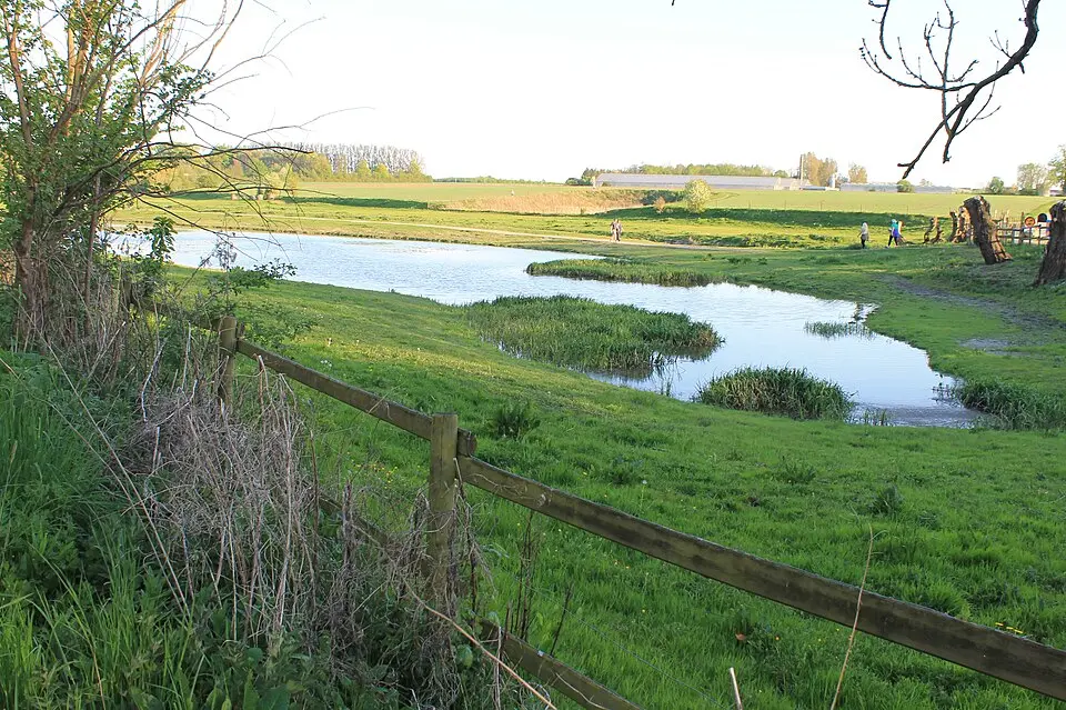 Höjeådalens naturreservat